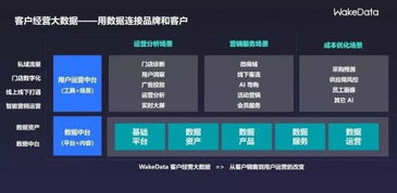 2019全球數字價值峰會 WakeData李柯辰——以數據為橋，連接品牌與客戶